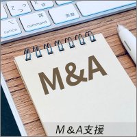 M＆A支援